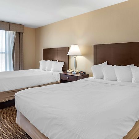 Best Western Plus Philadelphia Airport South - At Widener University Честър Екстериор снимка