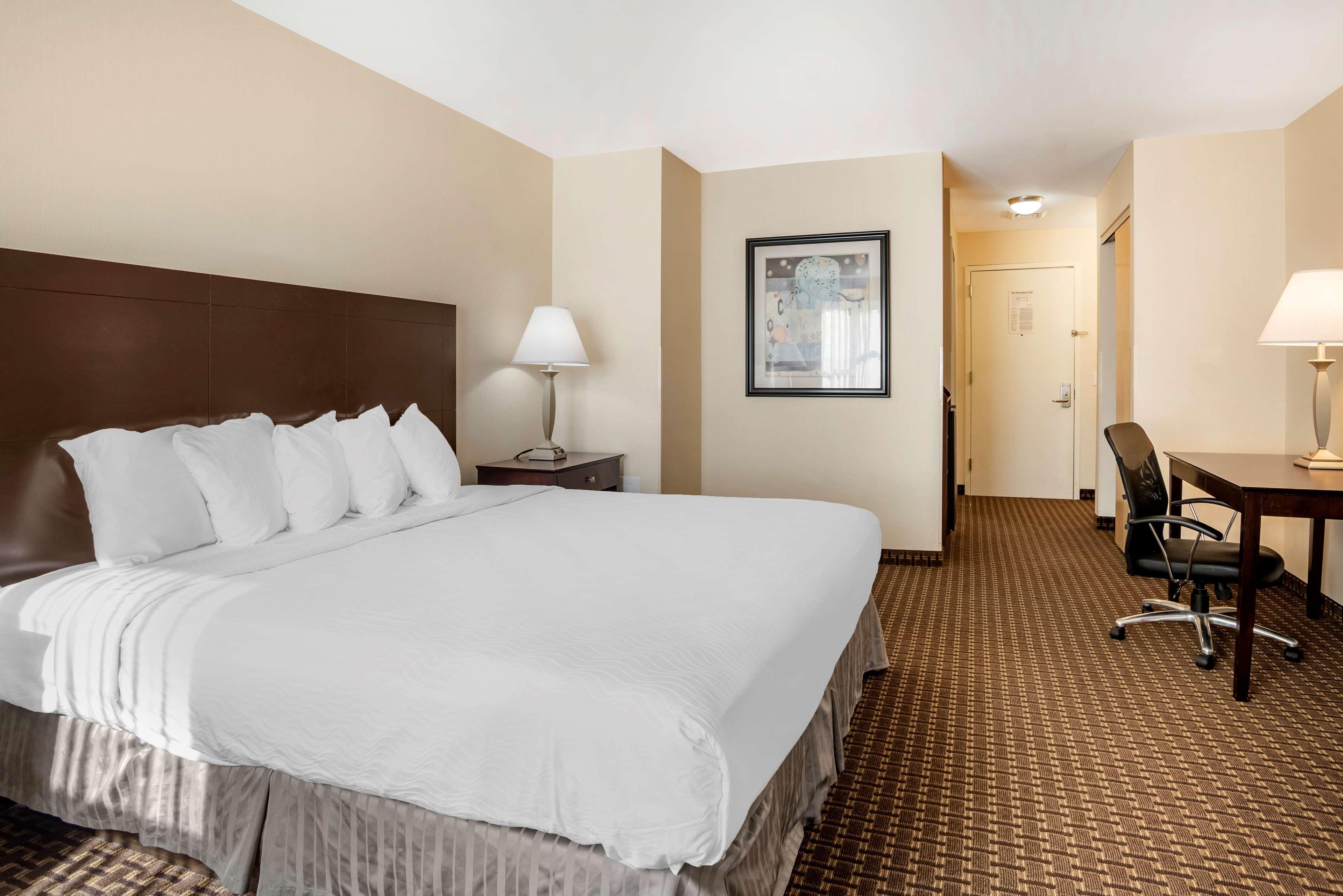 Best Western Plus Philadelphia Airport South - At Widener University Честър Екстериор снимка