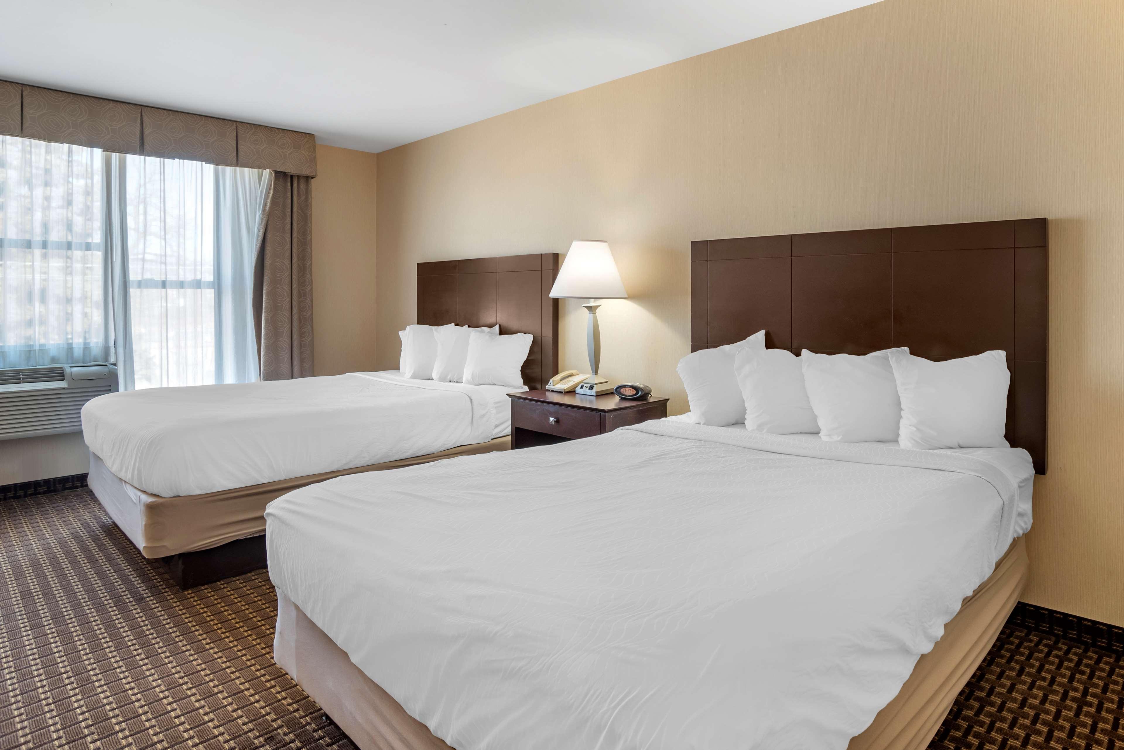 Best Western Plus Philadelphia Airport South - At Widener University Честър Екстериор снимка